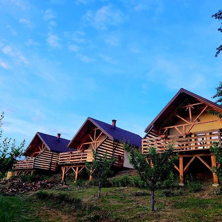 Casa David Plai (Prahova) Exterior photo
