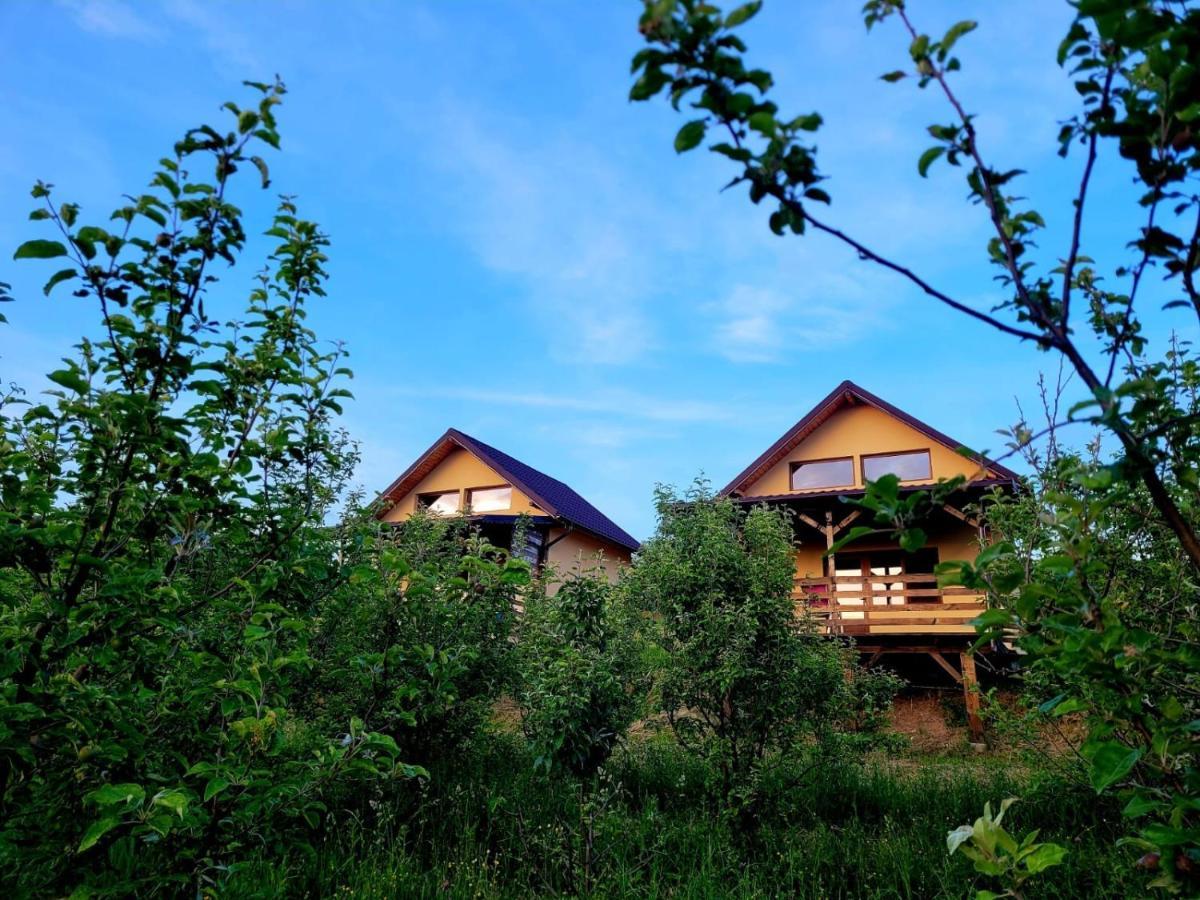 Casa David Plai (Prahova) Exterior photo