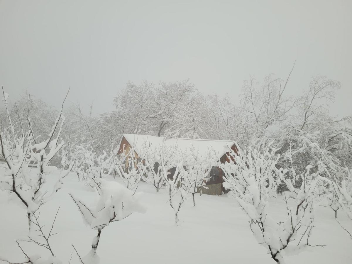 Casa David Plai (Prahova) Exterior photo