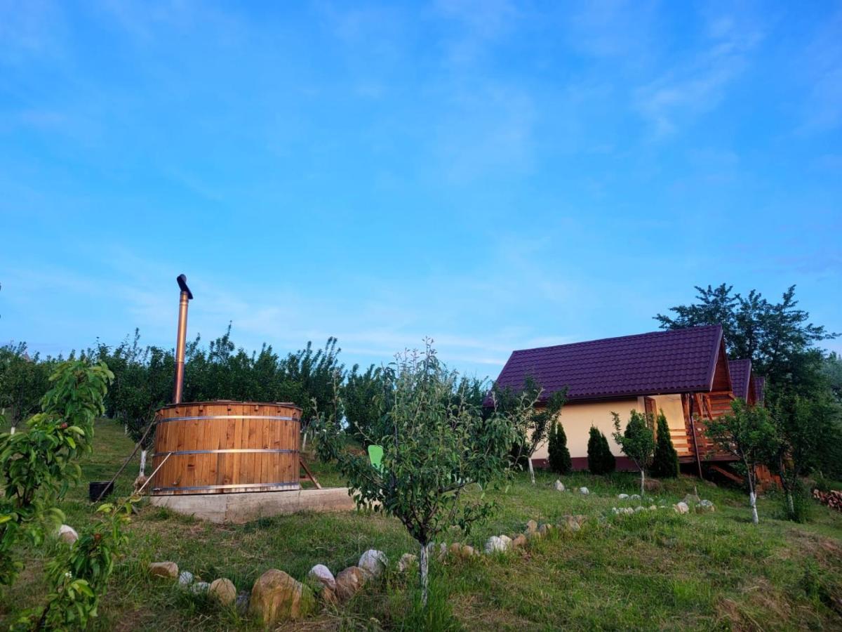 Casa David Plai (Prahova) Exterior photo