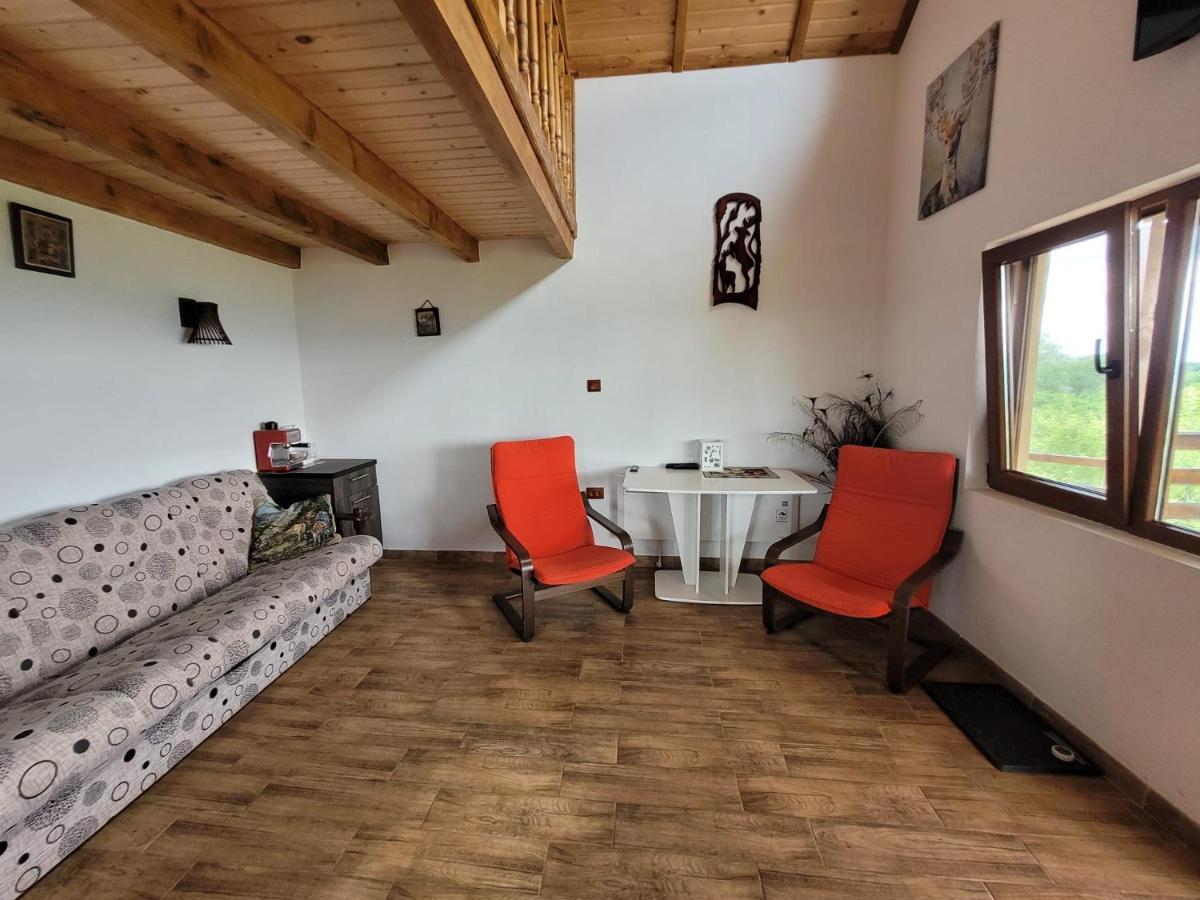 Casa David Plai (Prahova) Exterior photo