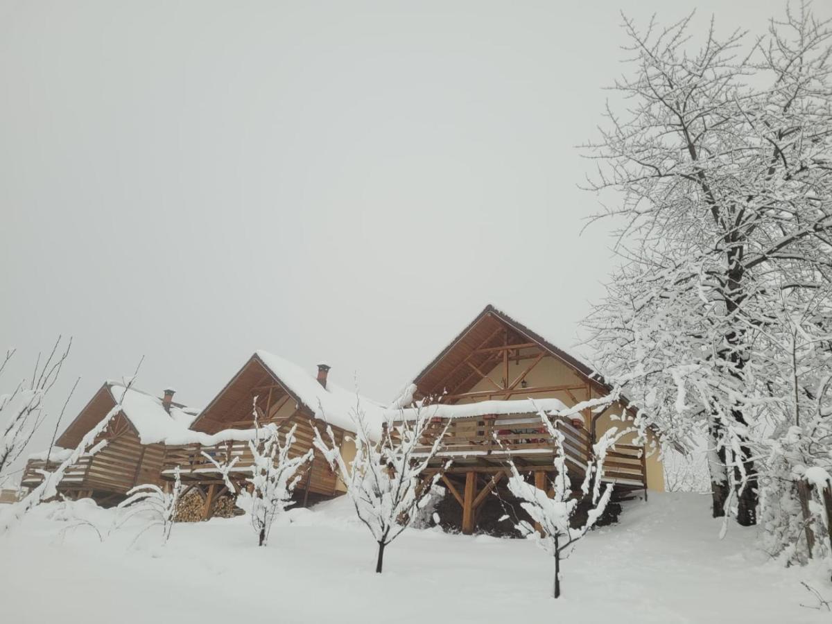 Casa David Plai (Prahova) Exterior photo