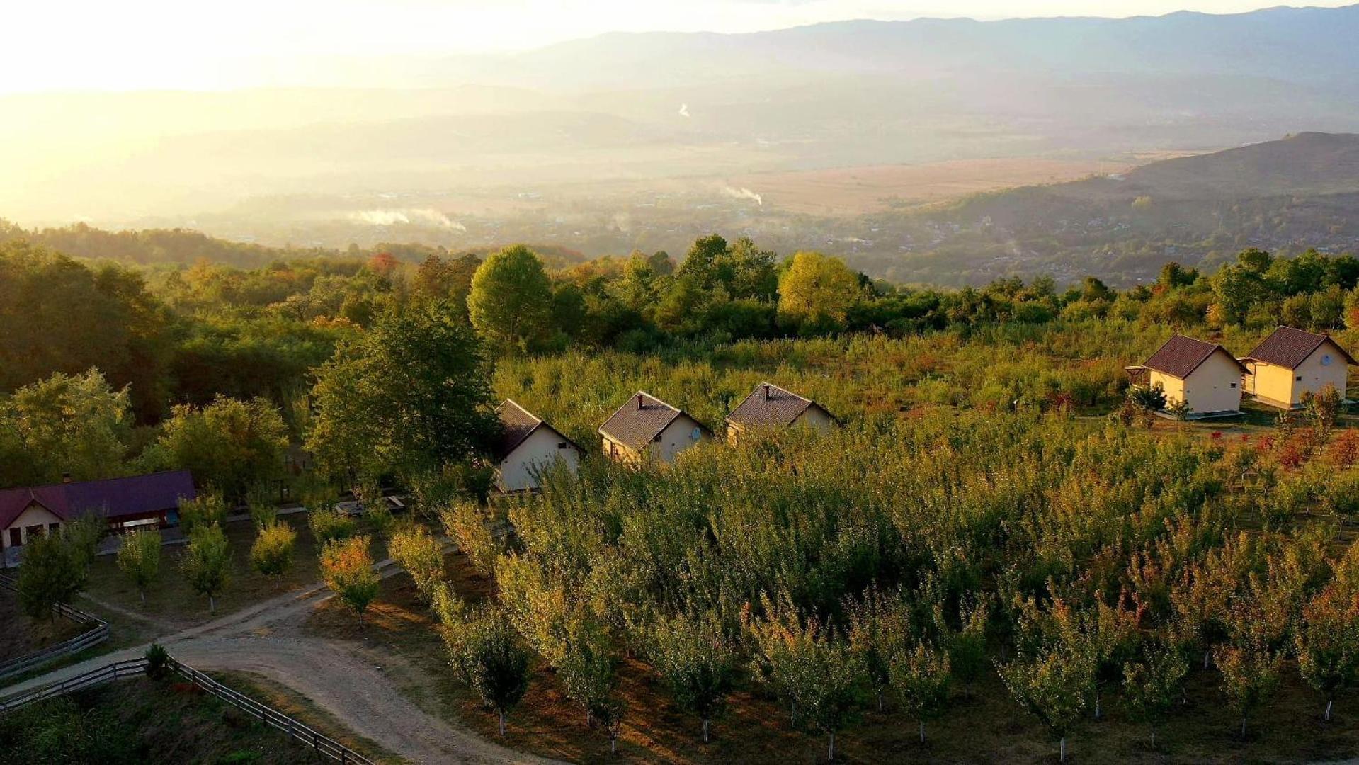 Casa David Plai (Prahova) Exterior photo