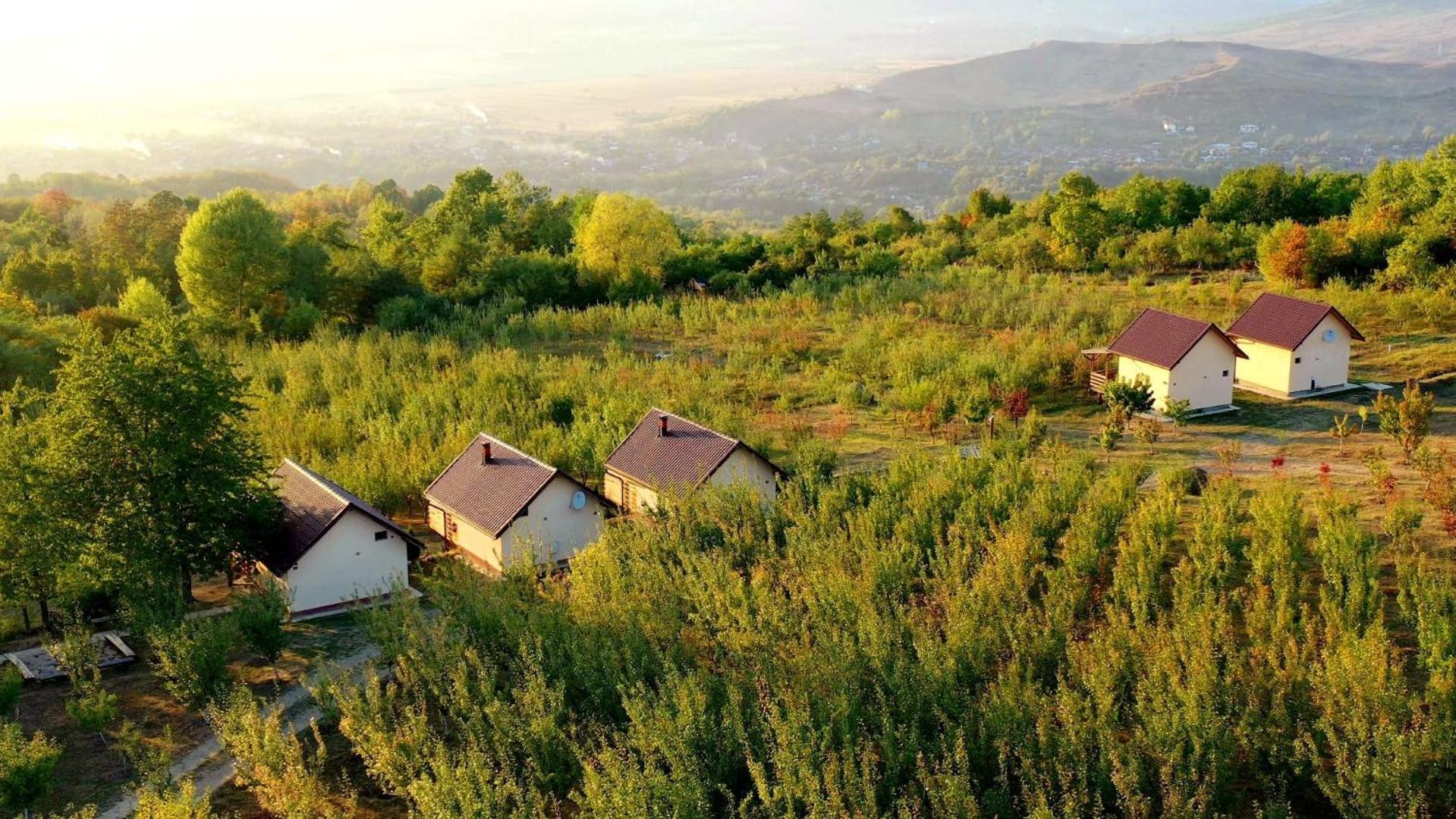 Casa David Plai (Prahova) Exterior photo