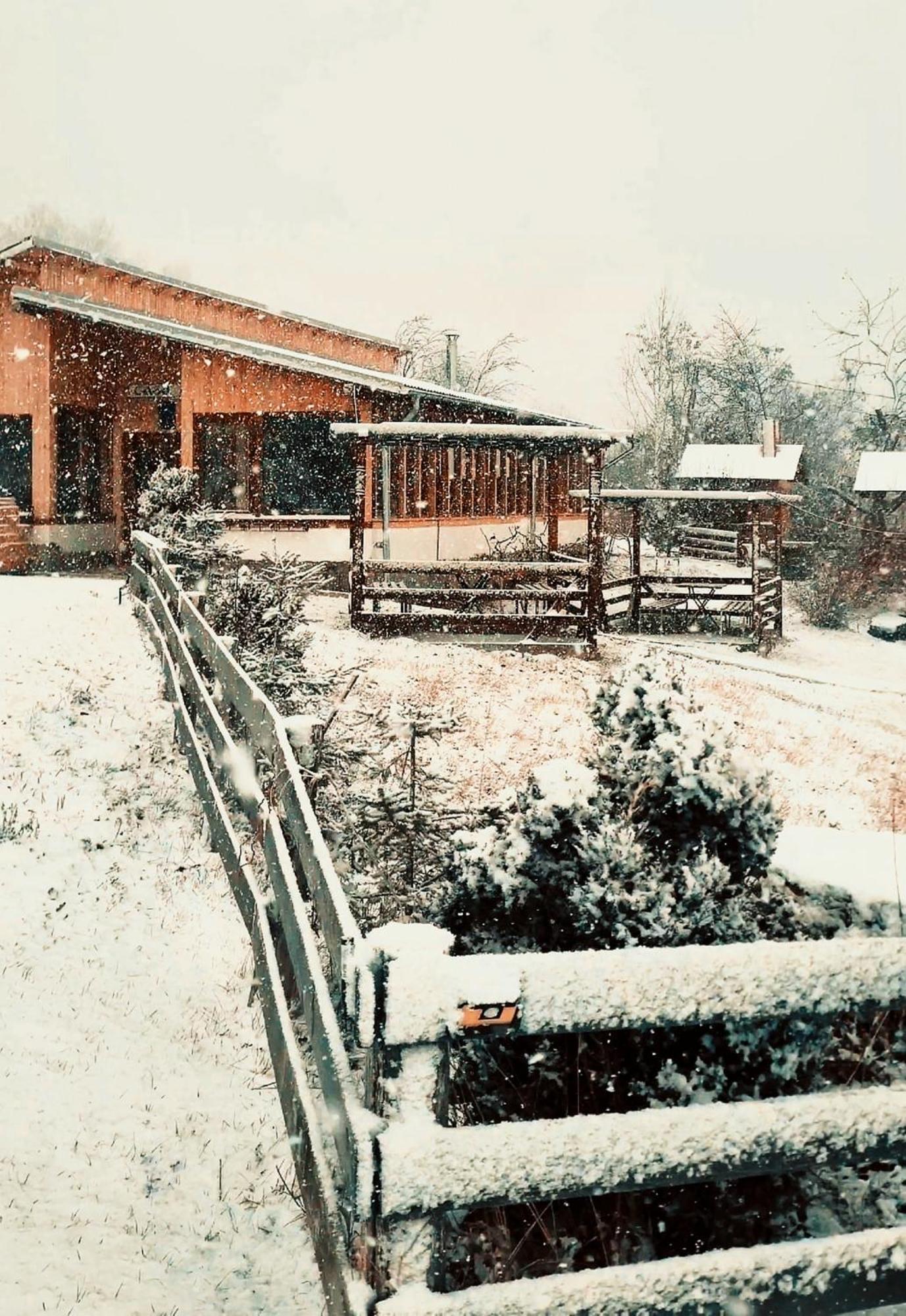 Casa David Plai (Prahova) Exterior photo